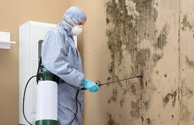 Smithfield, NC Mold Removal & Remediation Company